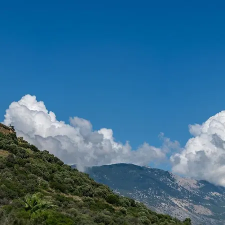 Daire Dimitra's House